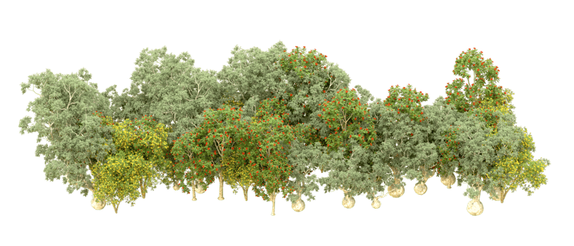 Green forest isolated on background. 3d rendering - illustration png