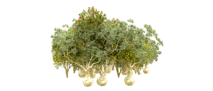 Green forest isolated on background. 3d rendering - illustration png