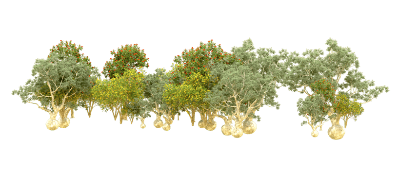 Green forest isolated on background. 3d rendering - illustration png