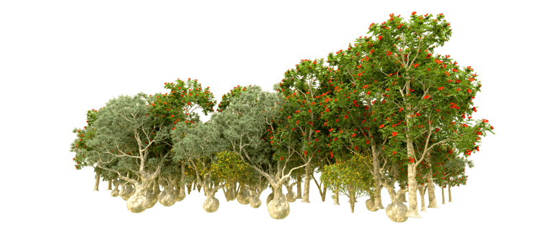 Green forest isolated on background. 3d rendering - illustration png