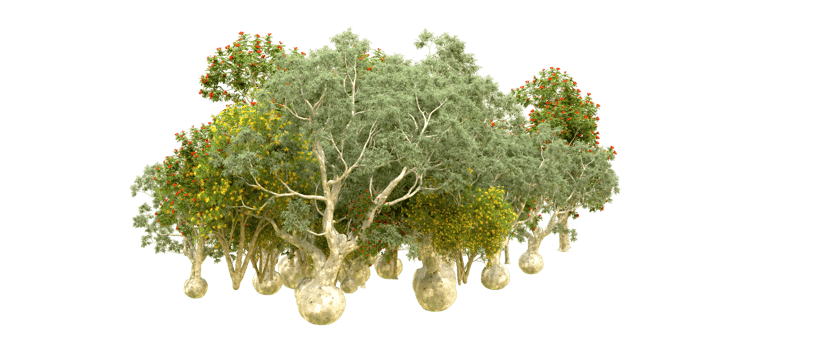 Green forest isolated on background. 3d rendering - illustration png