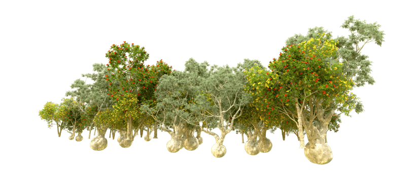 Green forest isolated on background. 3d rendering - illustration png