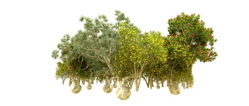 Green forest isolated on background. 3d rendering - illustration png