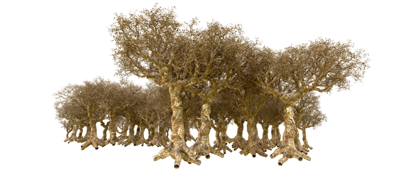 Green forest isolated on background. 3d rendering - illustration png