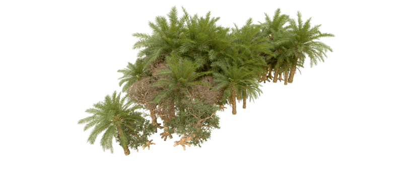 Green forest isolated on background. 3d rendering - illustration png