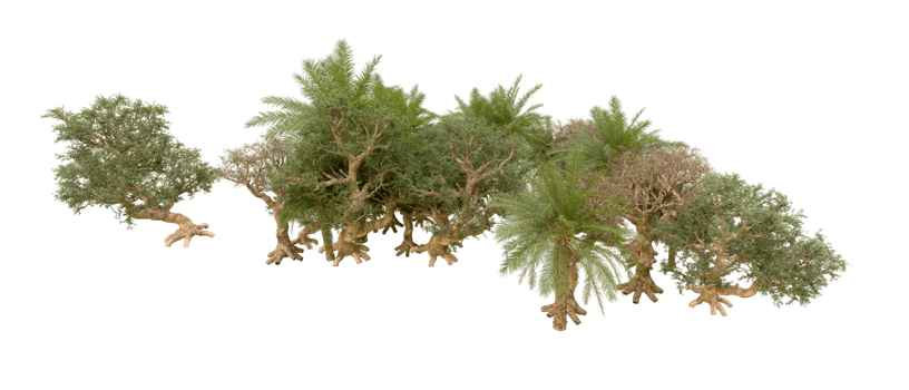 Green forest isolated on background. 3d rendering - illustration png