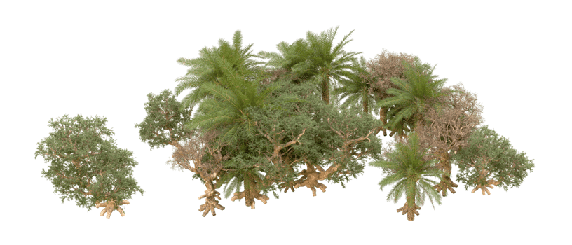 Green forest isolated on background. 3d rendering - illustration png