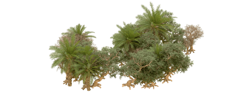 Green forest isolated on background. 3d rendering - illustration png