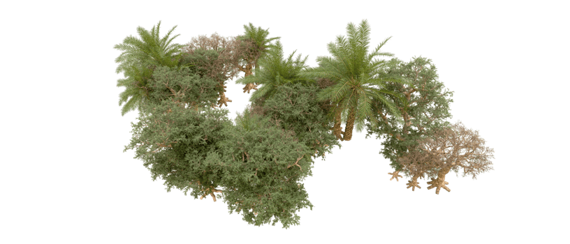 Green forest isolated on background. 3d rendering - illustration png