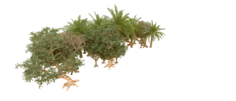 Green forest isolated on background. 3d rendering - illustration png