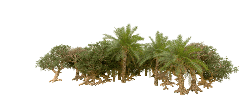 Green forest isolated on background. 3d rendering - illustration png