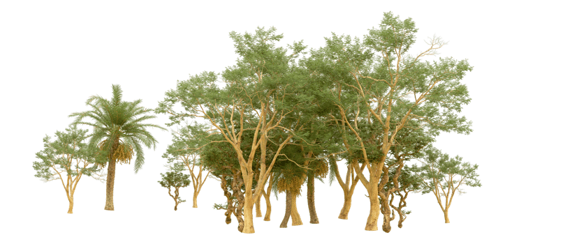 Green forest isolated on background. 3d rendering - illustration png