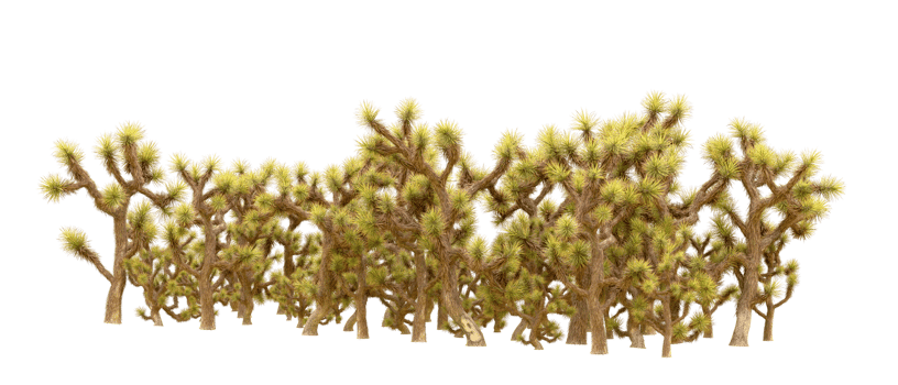 Green forest isolated on background. 3d rendering - illustration png