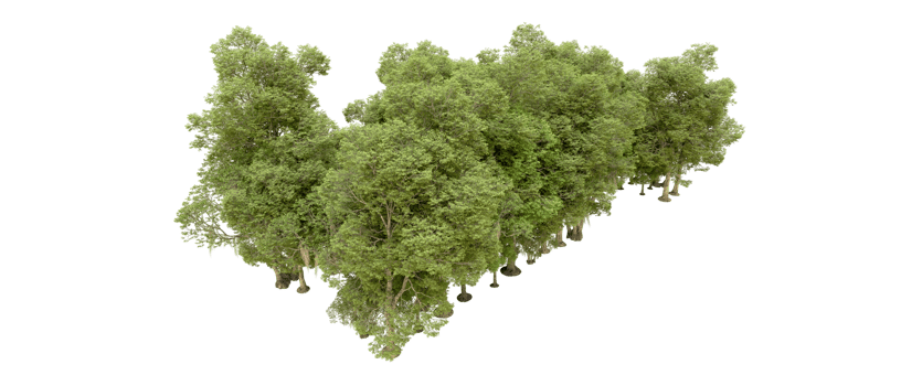 Green forest isolated on background. 3d rendering - illustration png