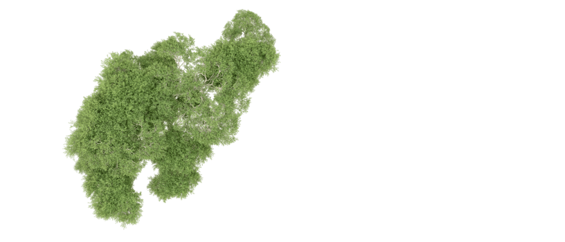 Green forest isolated on background. 3d rendering - illustration png