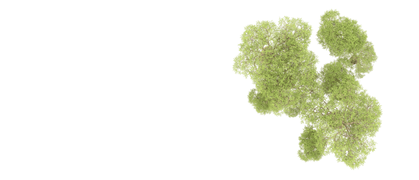 Green forest isolated on background. 3d rendering - illustration png
