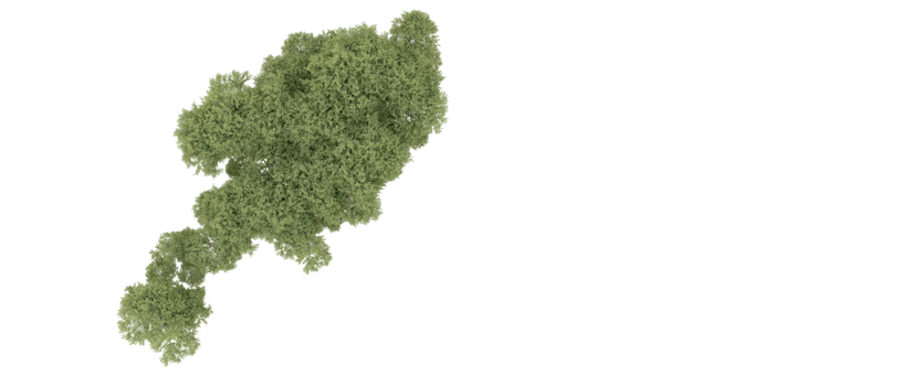 Green forest isolated on background. 3d rendering - illustration png