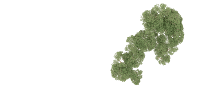 Green forest isolated on background. 3d rendering - illustration png
