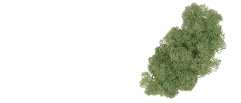Green forest isolated on background. 3d rendering - illustration png