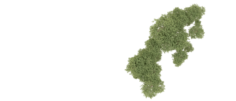 Green forest isolated on background. 3d rendering - illustration png