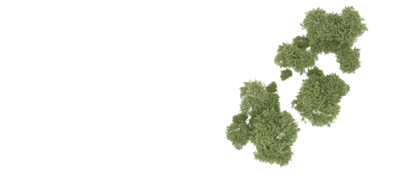 Green forest isolated on background. 3d rendering - illustration png
