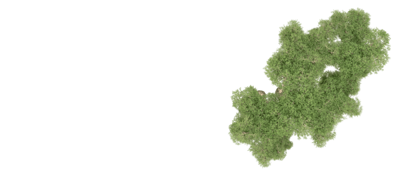 Green forest isolated on background. 3d rendering - illustration png