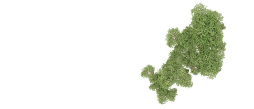Green forest isolated on background. 3d rendering - illustration png