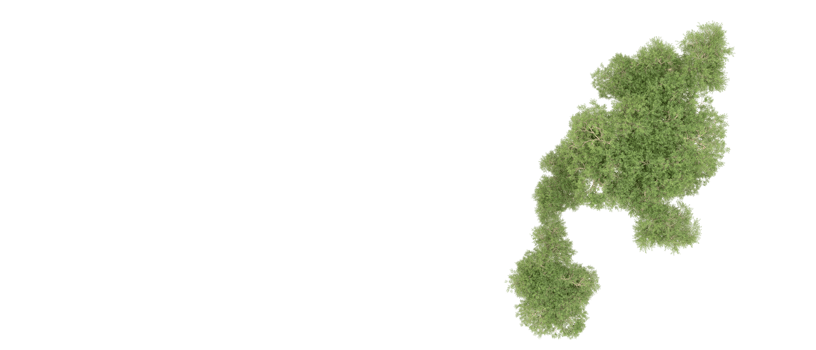 Green forest isolated on background. 3d rendering - illustration png