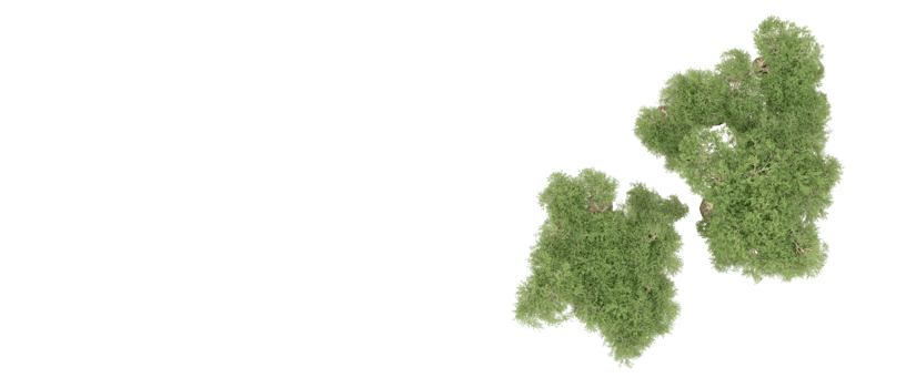 Green forest isolated on background. 3d rendering - illustration png