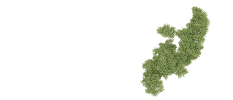 Green forest isolated on background. 3d rendering - illustration png