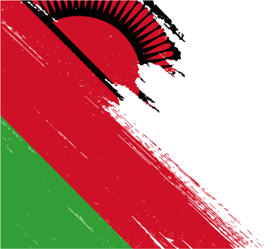 Malawi  flag brush paint textured png