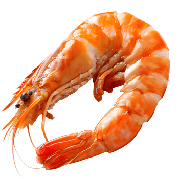 AI generated shrimp isolated on transparent background ,red shrimp png ,generative aI