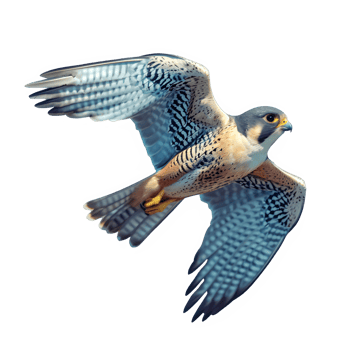 AI generated falcon bird flying isolated on transparent background ,flying eagle png ,generative ai