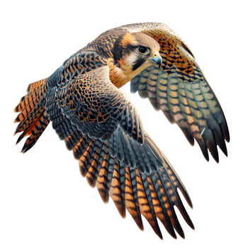 AI generated falcon bird flying isolated on transparent background ,flying eagle png ,generative ai