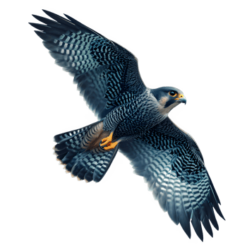 AI generated falcon bird flying isolated on transparent background ,flying eagle png ,generative ai
