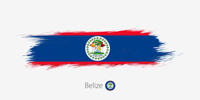 Flag of Belize, grunge abstract brush stroke on gray background. vector