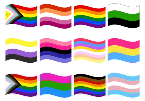 LGBT Pride flag set. Pride community flag. vector