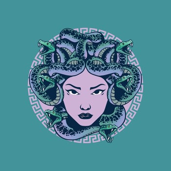 medusa head artwork vector