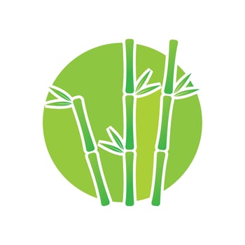 Bamboo with green leaf vector