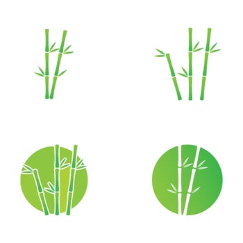 Bamboo with green leaf vector