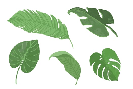 Set of tropical leaves isolated on white background. colorful plant collection vector