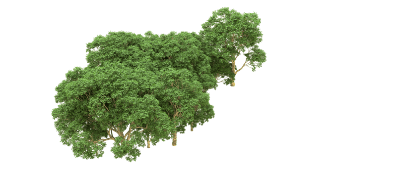 Green forest isolated on background. 3d rendering - illustration png