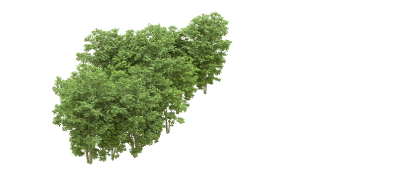 Green forest isolated on background. 3d rendering - illustration png
