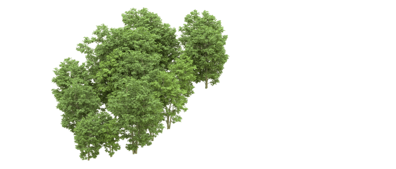 Green forest isolated on background. 3d rendering - illustration png