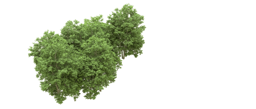 Green forest isolated on background. 3d rendering - illustration png