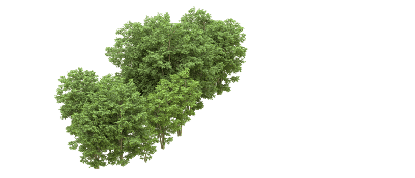 Green forest isolated on background. 3d rendering - illustration png