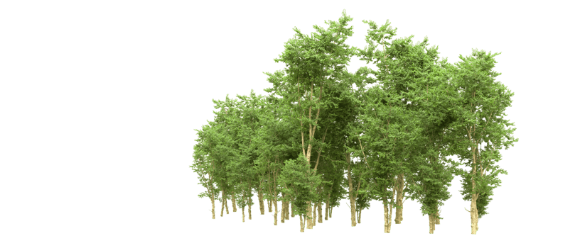 Green forest isolated on background. 3d rendering - illustration png