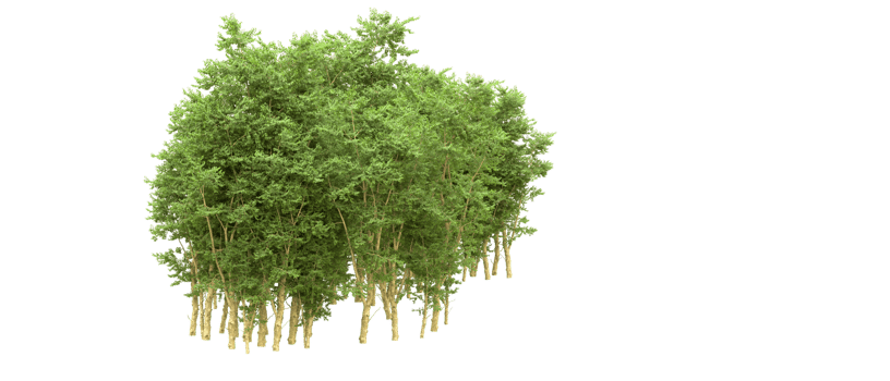 Green forest isolated on background. 3d rendering - illustration png