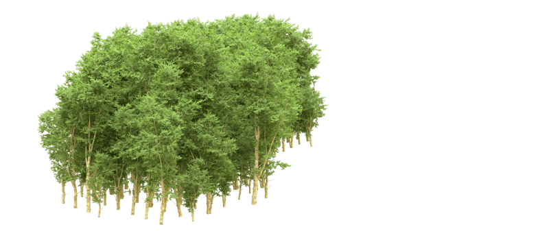 Green forest isolated on background. 3d rendering - illustration png