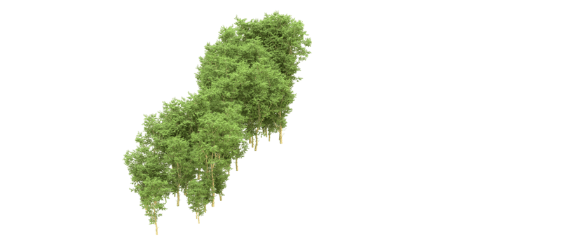 Green forest isolated on background. 3d rendering - illustration png
